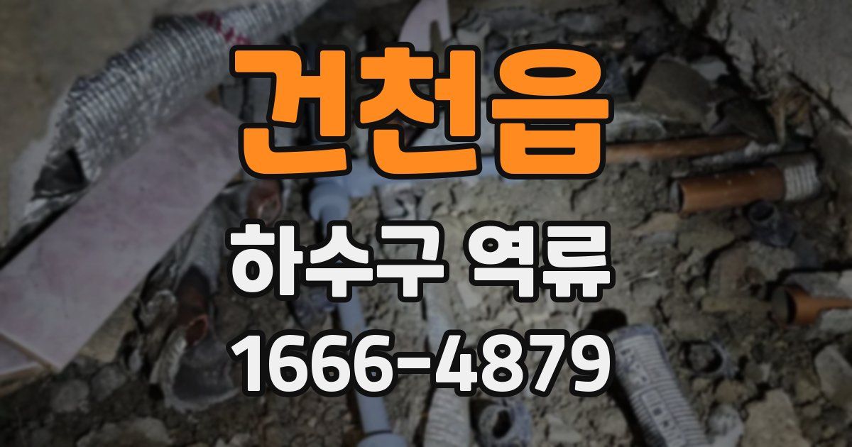 건천읍 하수구 역류