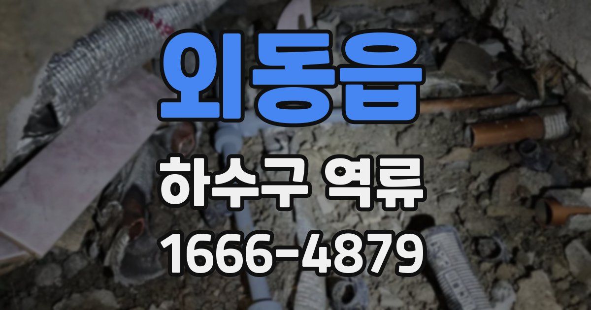 외동읍 하수구 역류