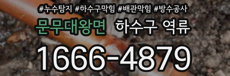 문무대왕면 하수구 역류