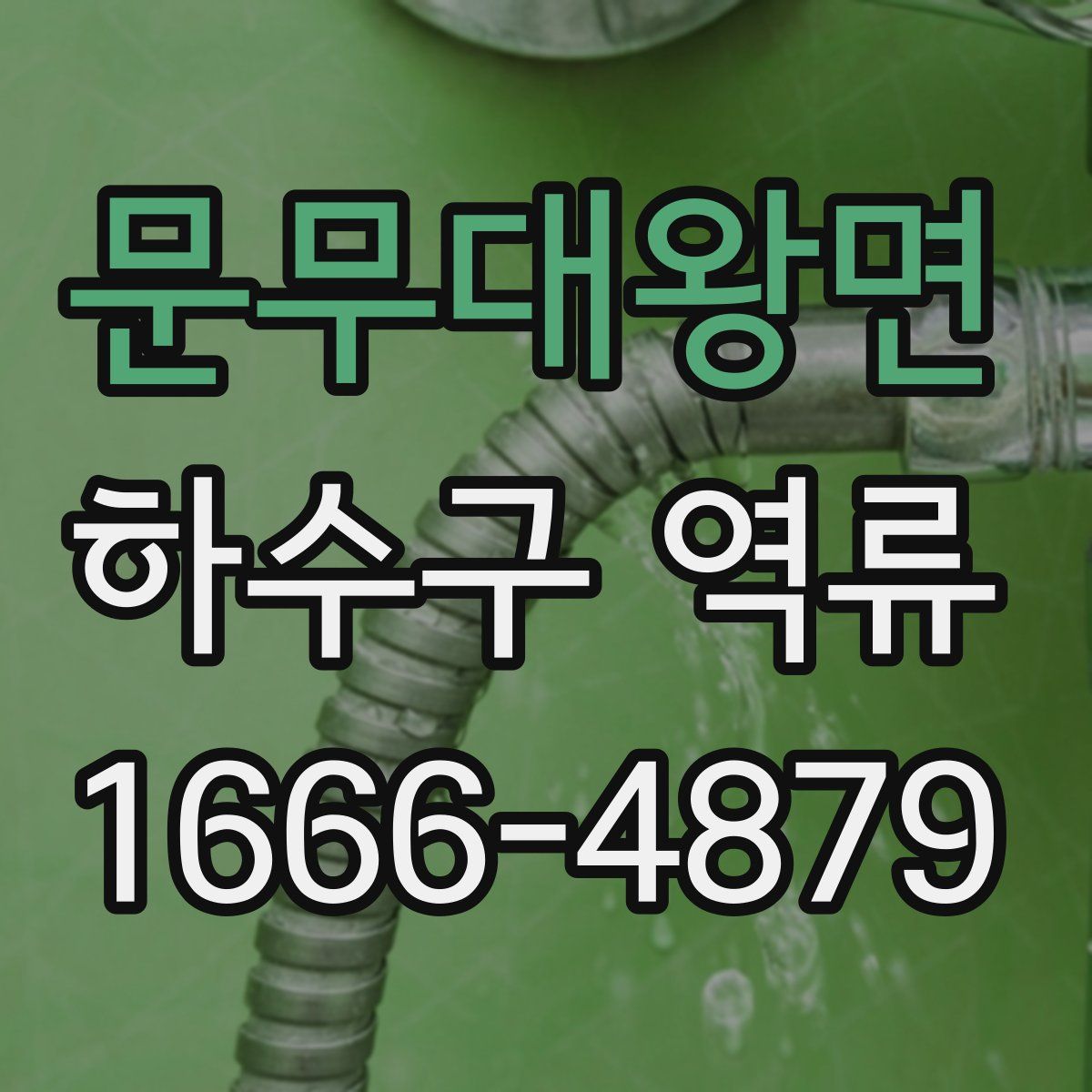 문무대왕면 하수구 역류