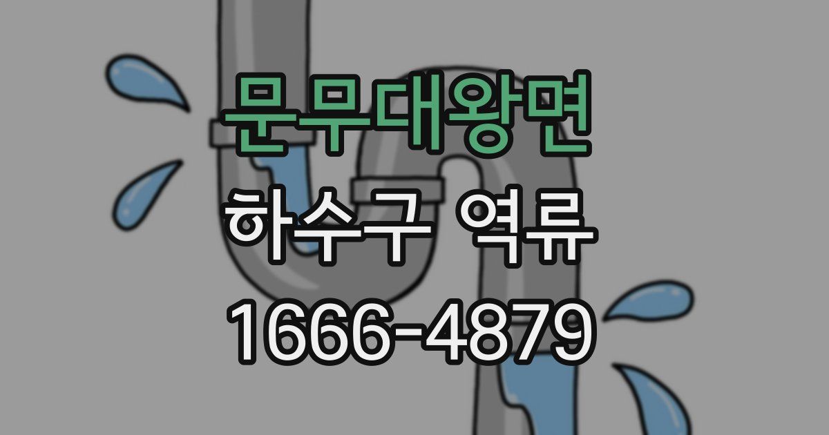 문무대왕면 하수구 역류