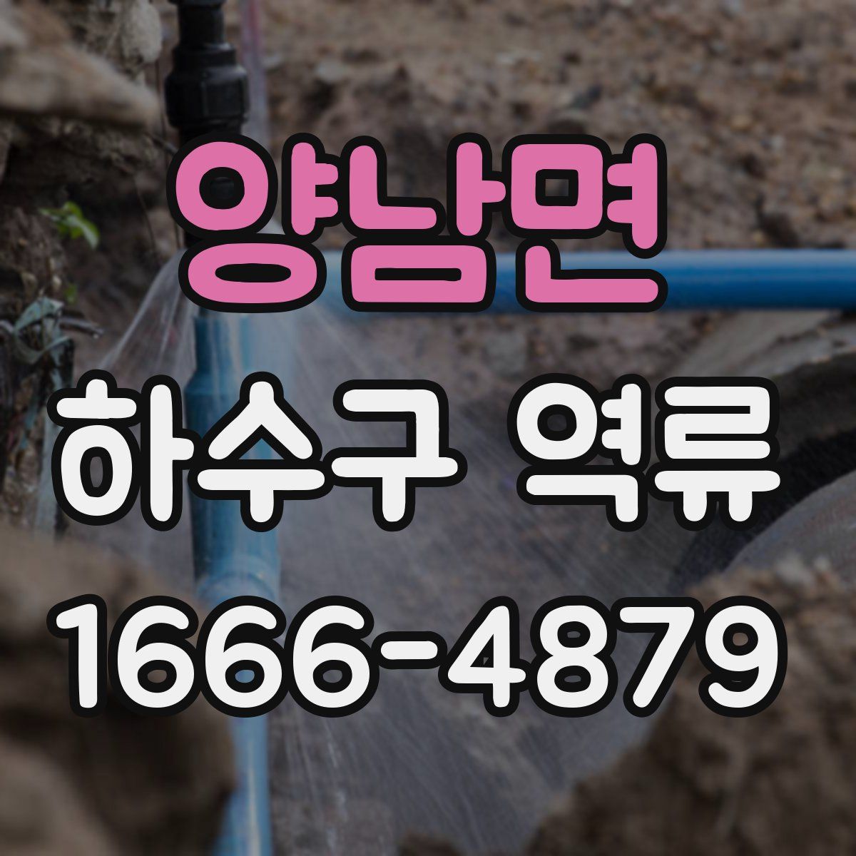 양남면 하수구 역류