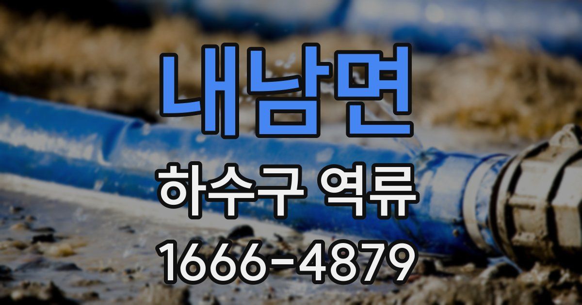 내남면 하수구 역류