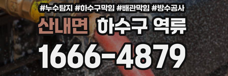 산내면 하수구 역류