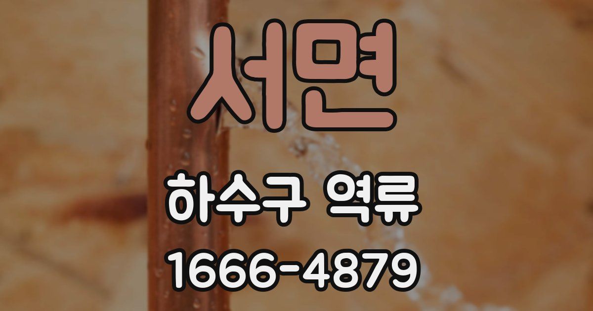 서면 하수구 역류