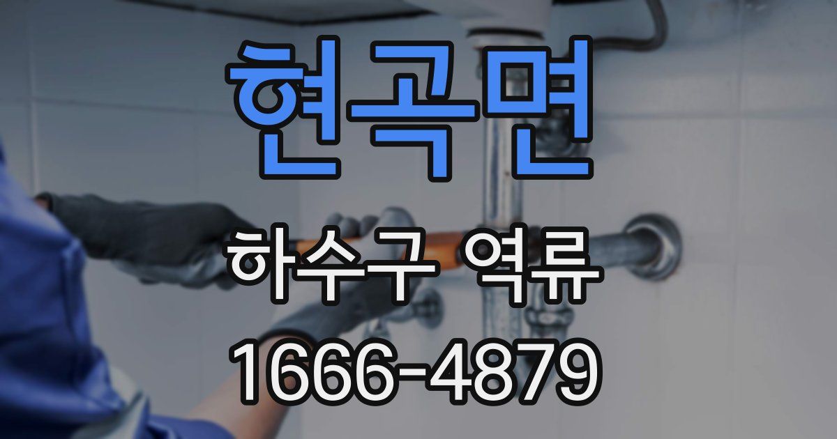현곡면 하수구 역류