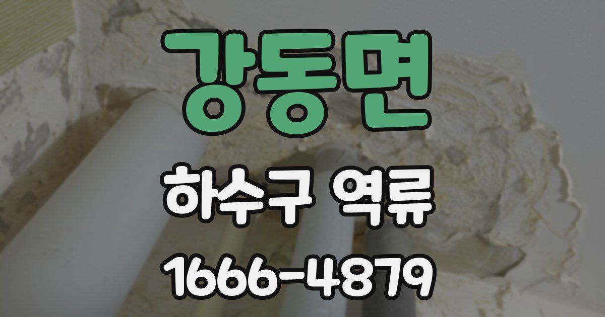 강동면 하수구 역류