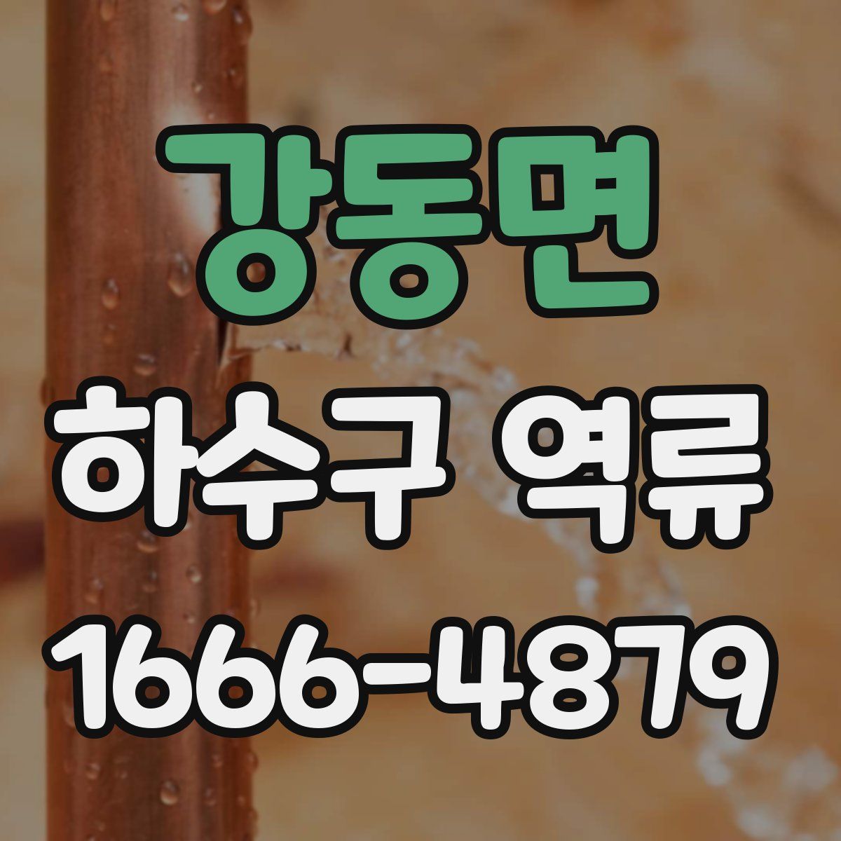 강동면 하수구 역류