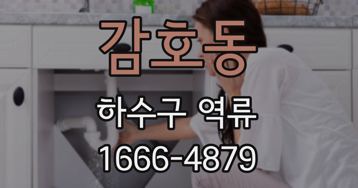 감호동 하수구 역류