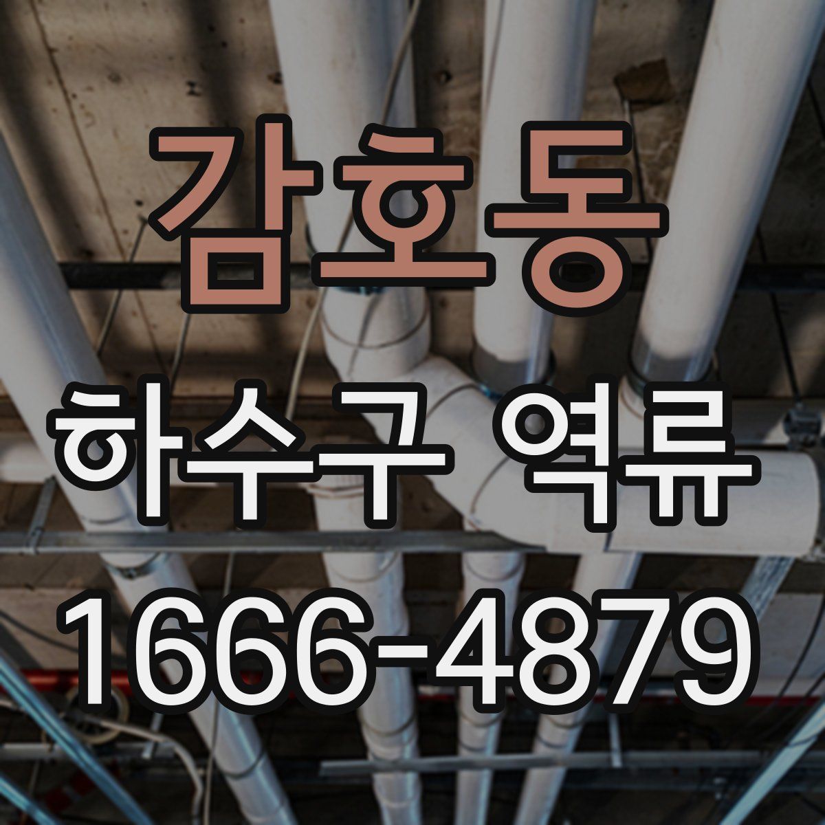 감호동 하수구 역류