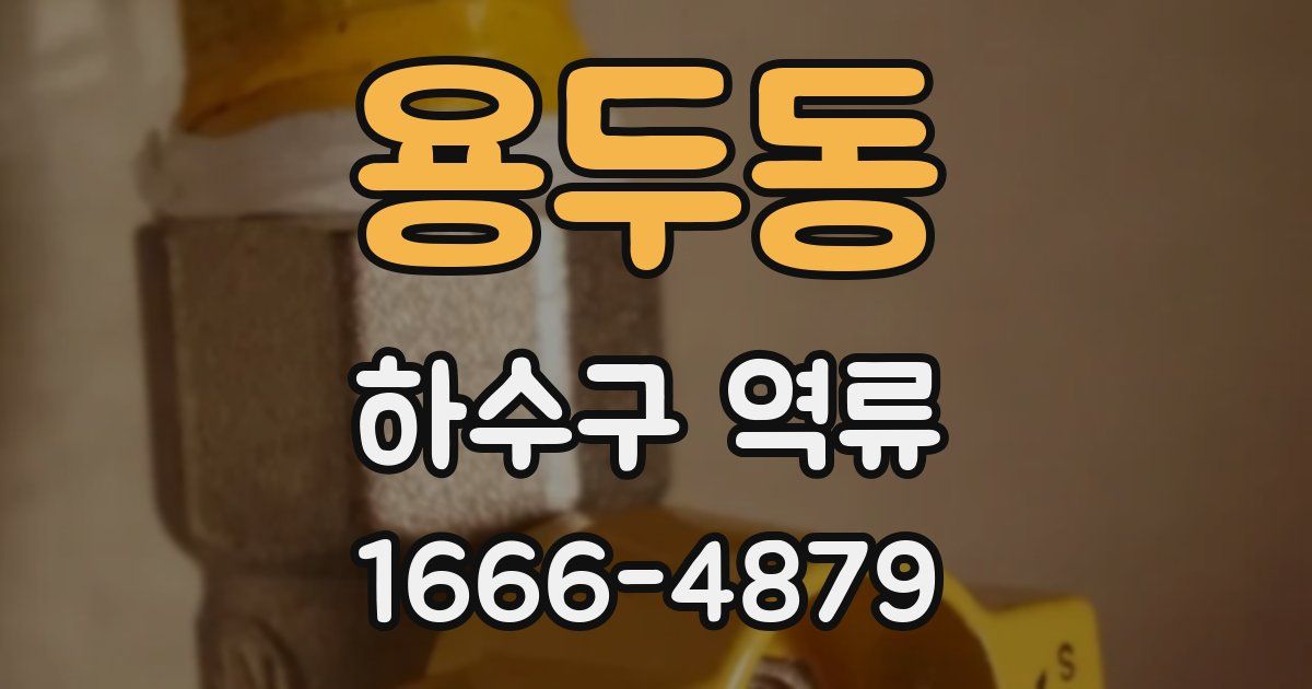 용두동 하수구 역류