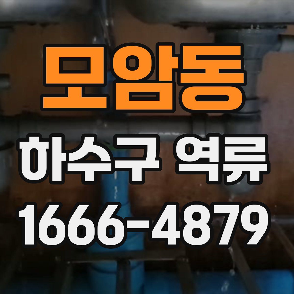 모암동 하수구 역류