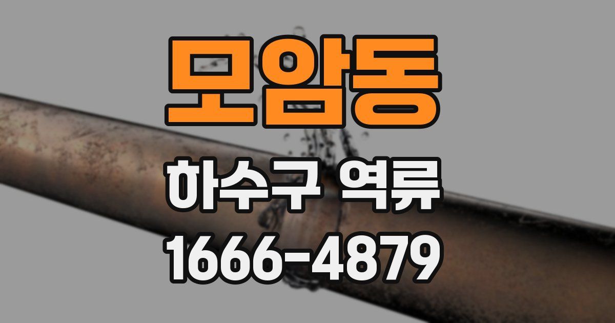 모암동 하수구 역류
