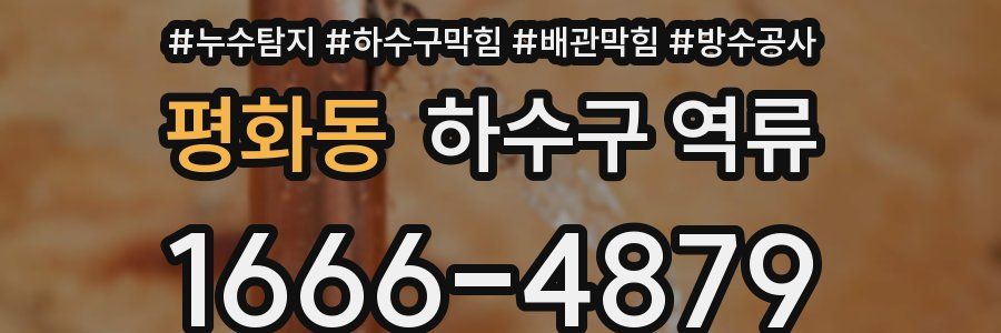 평화동 하수구 역류