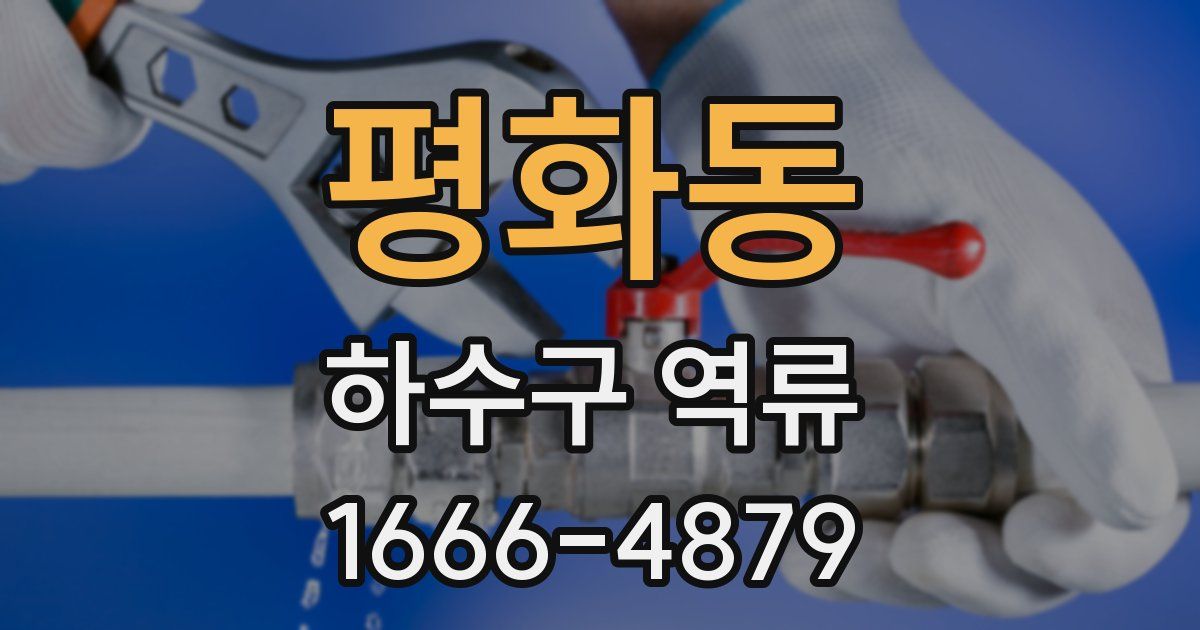 평화동 하수구 역류