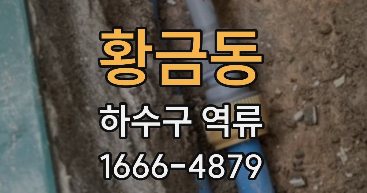 황금동 하수구 역류