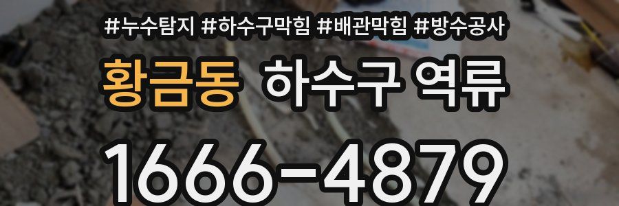 황금동 하수구 역류