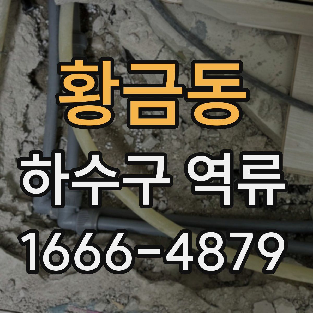 황금동 하수구 역류