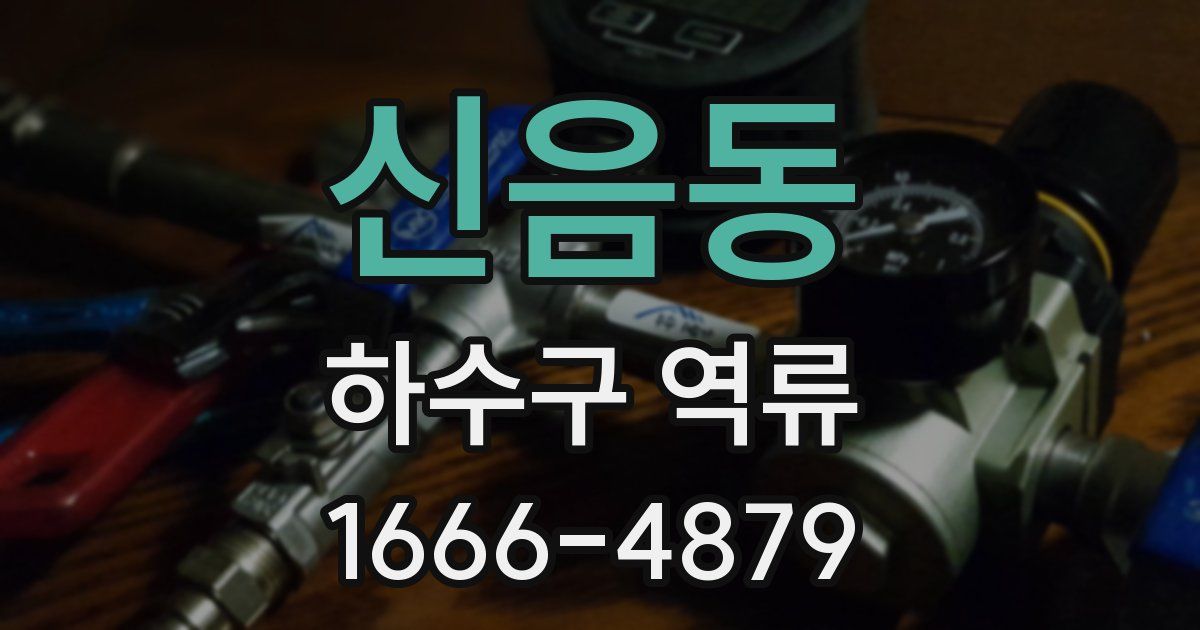 신음동 하수구 역류