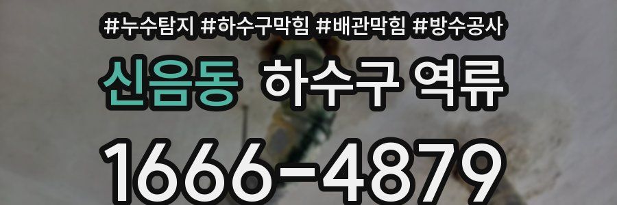 신음동 하수구 역류