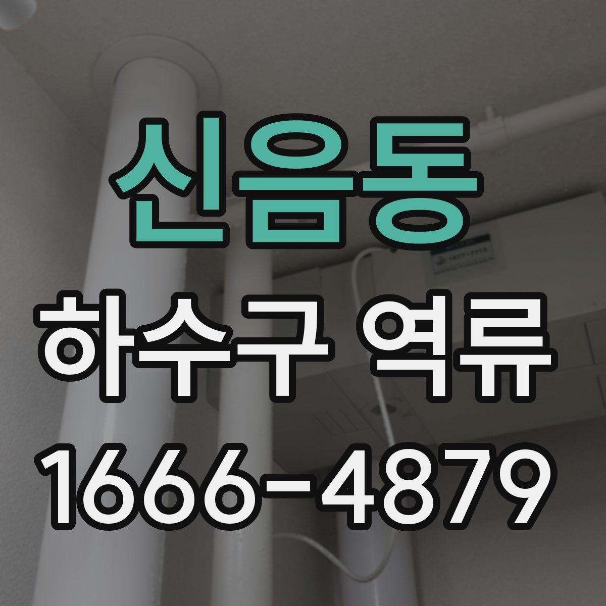 신음동 하수구 역류