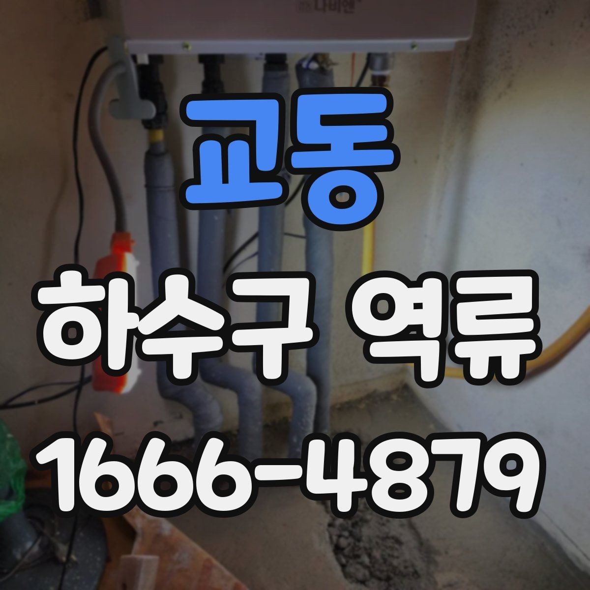 교동 하수구 역류