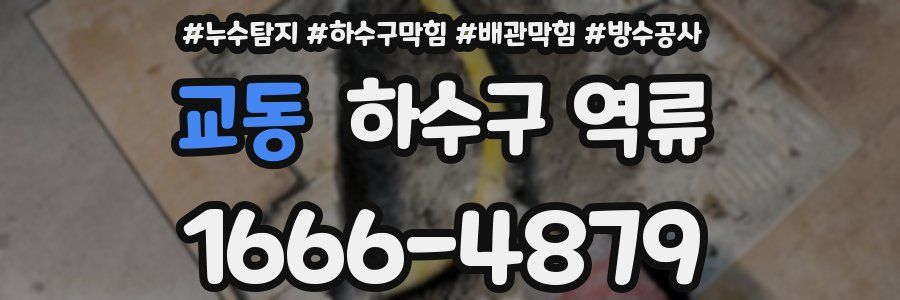 교동 하수구 역류