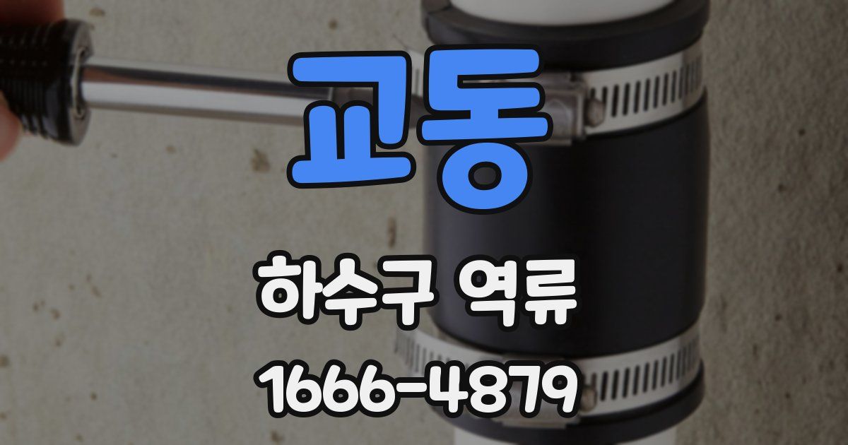 교동 하수구 역류