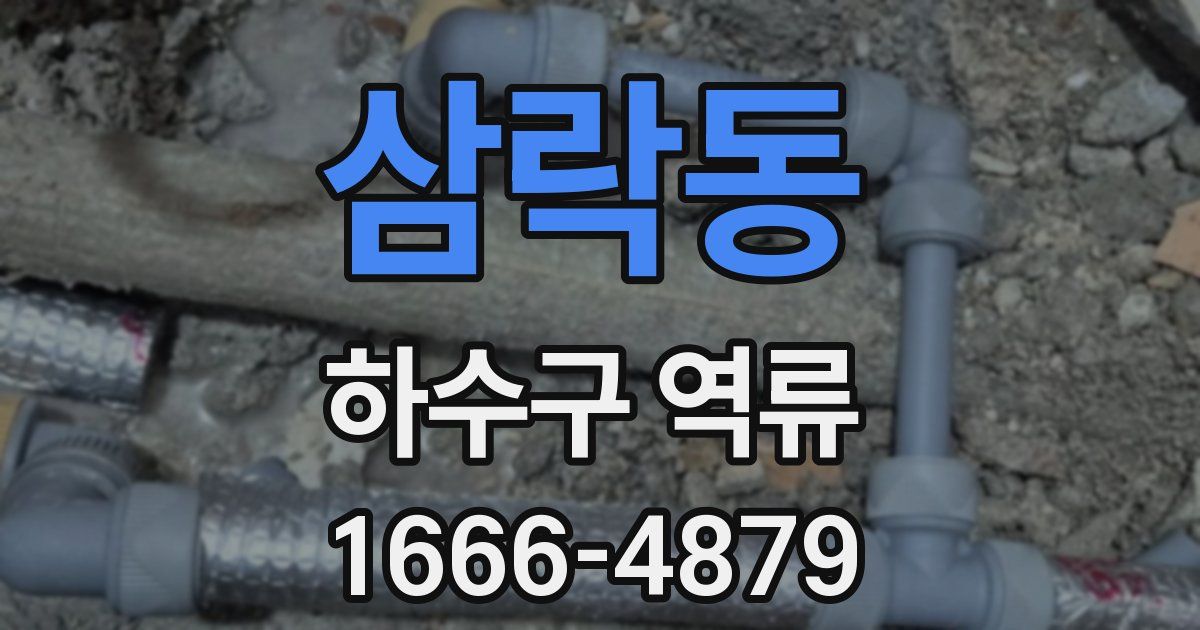삼락동 하수구 역류