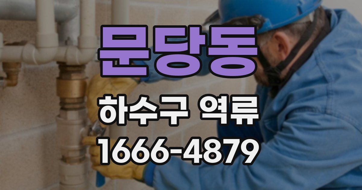 문당동 하수구 역류