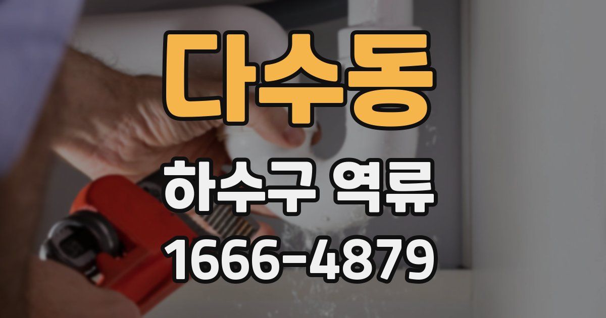 다수동 하수구 역류