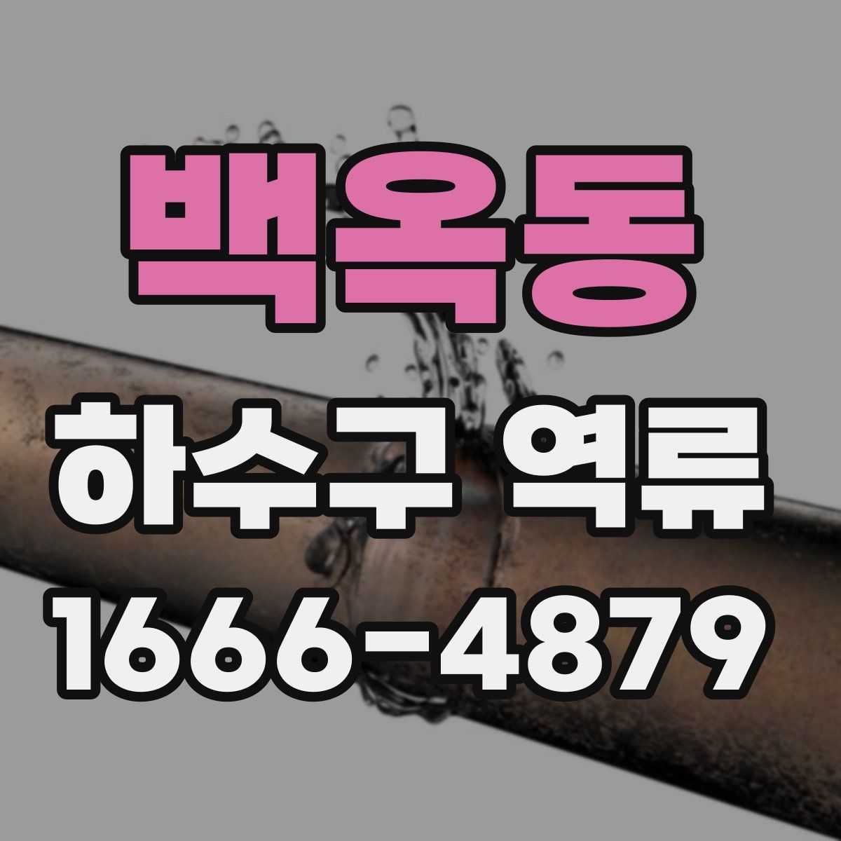 백옥동 하수구 역류