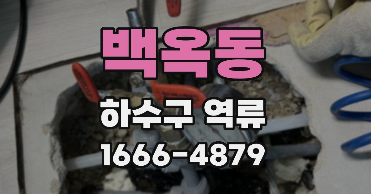 백옥동 하수구 역류