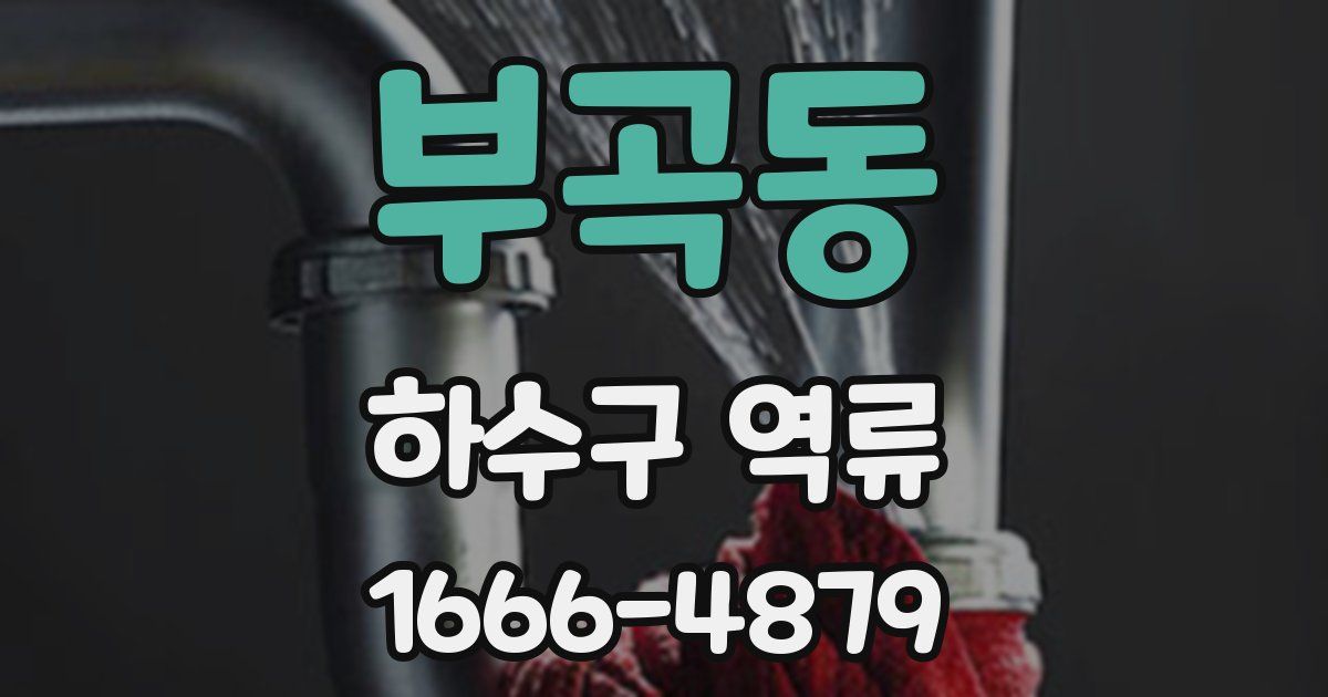 부곡동 하수구 역류