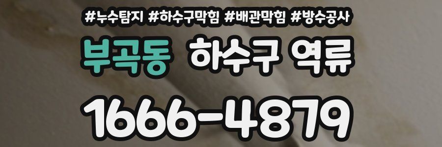 부곡동 하수구 역류