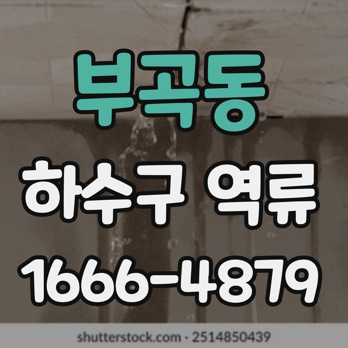 부곡동 하수구 역류