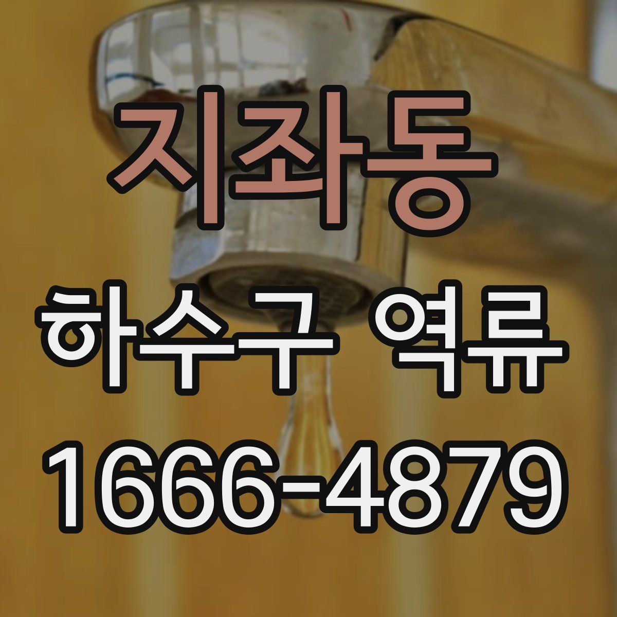 지좌동 하수구 역류