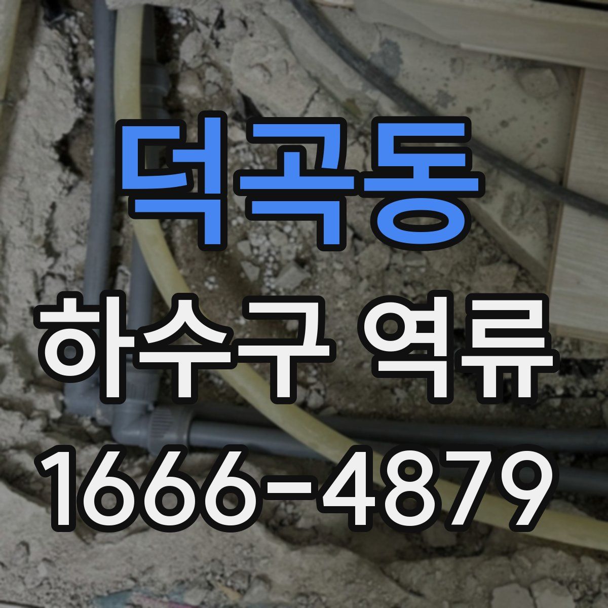 덕곡동 하수구 역류