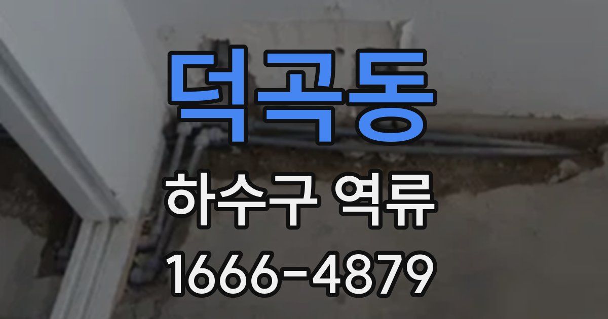 덕곡동 하수구 역류