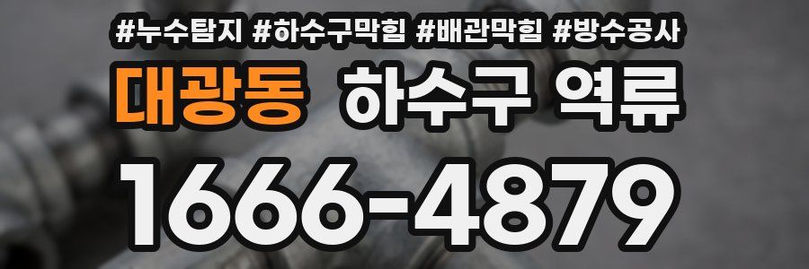 대광동 하수구 역류