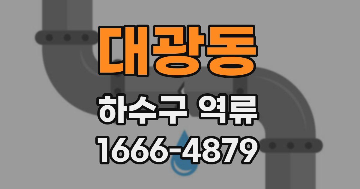 대광동 하수구 역류
