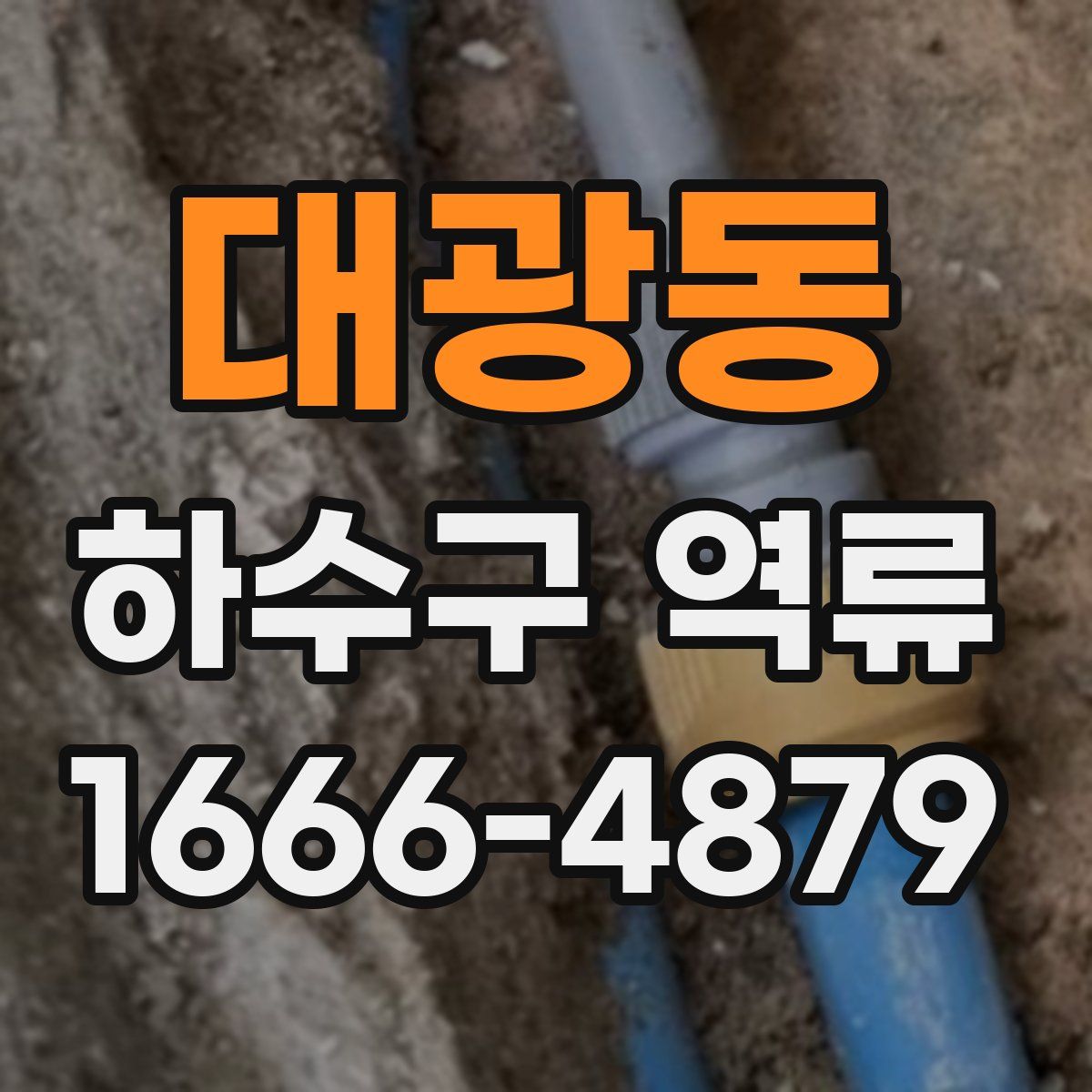 대광동 하수구 역류