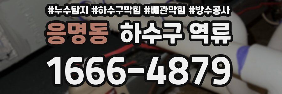 응명동 하수구 역류