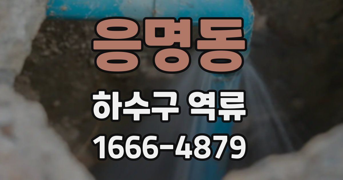 응명동 하수구 역류