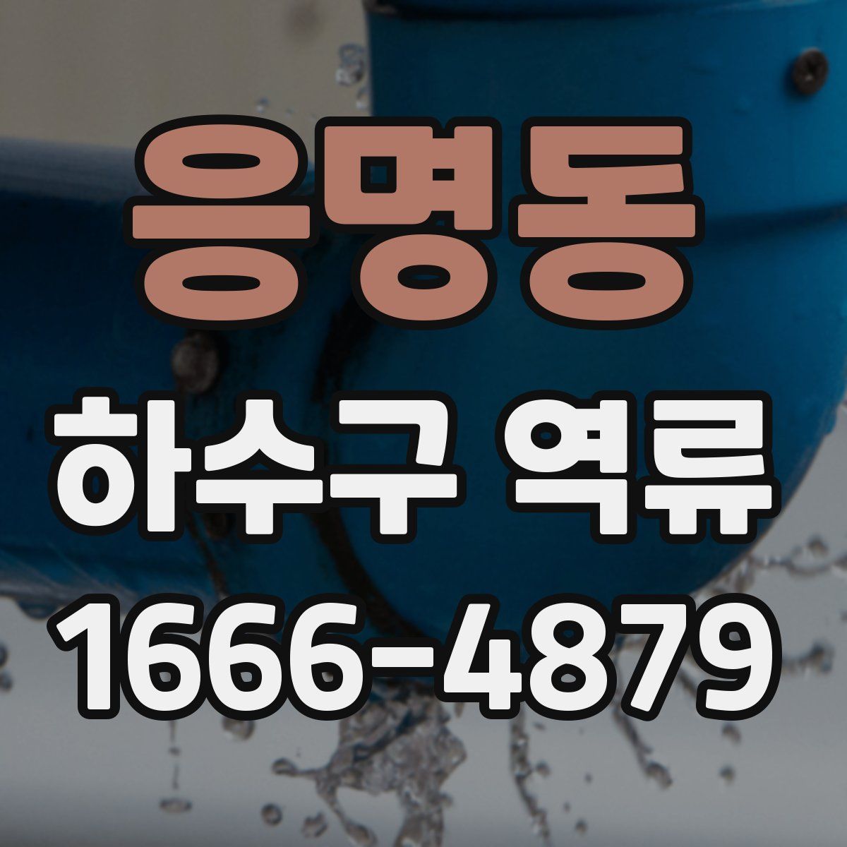 응명동 하수구 역류