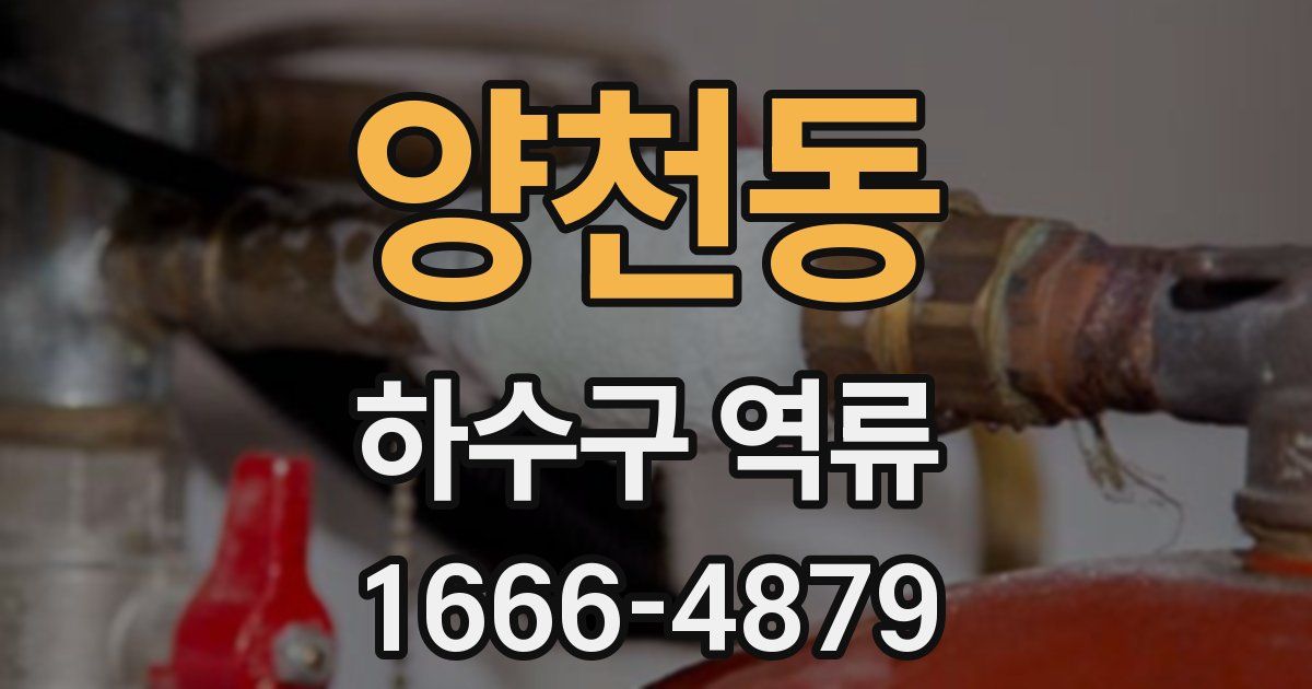 양천동 하수구 역류