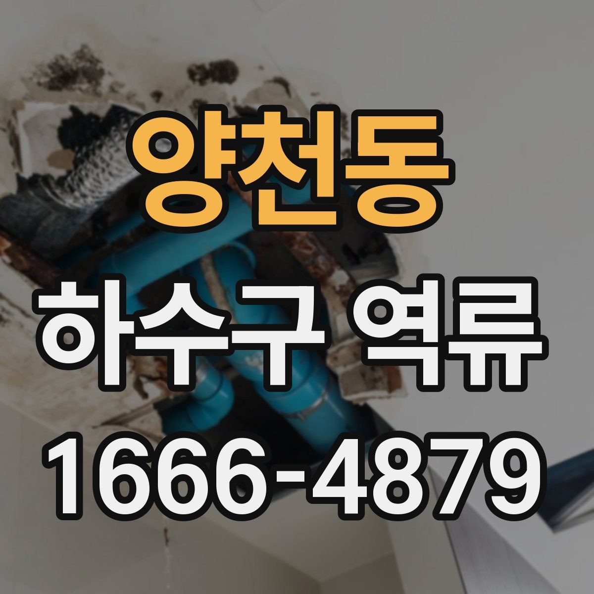 양천동 하수구 역류