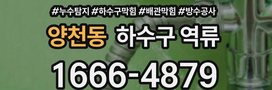 양천동 하수구 역류