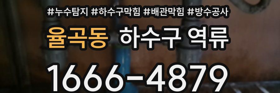 율곡동 하수구 역류