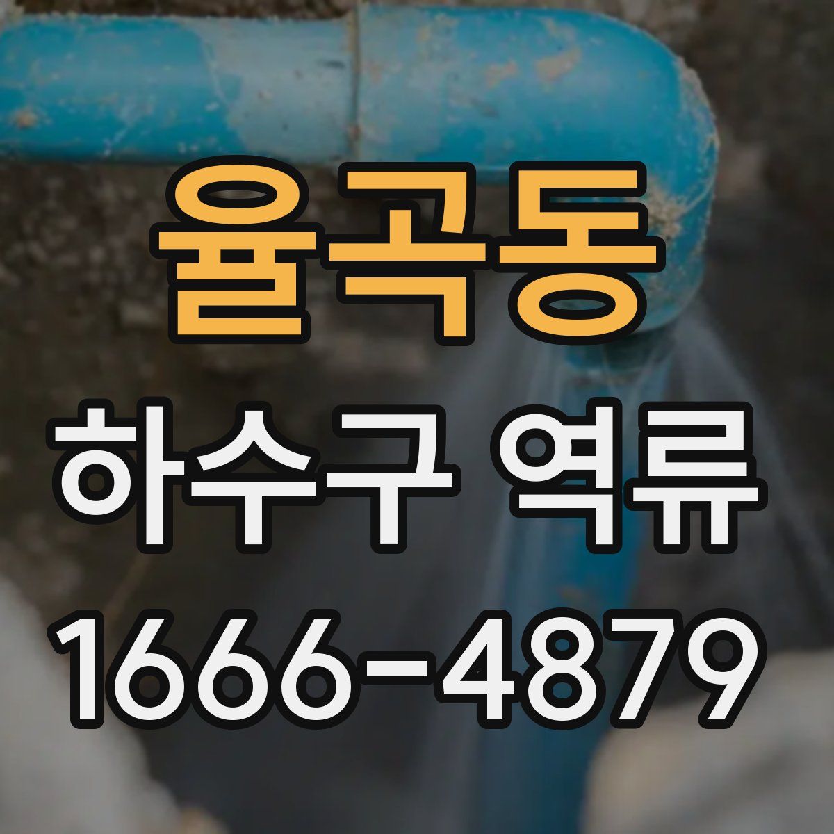 율곡동 하수구 역류